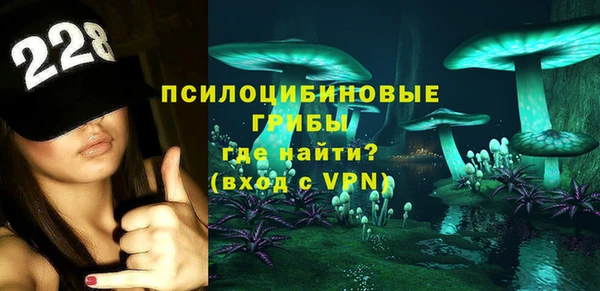 стафф Арсеньев